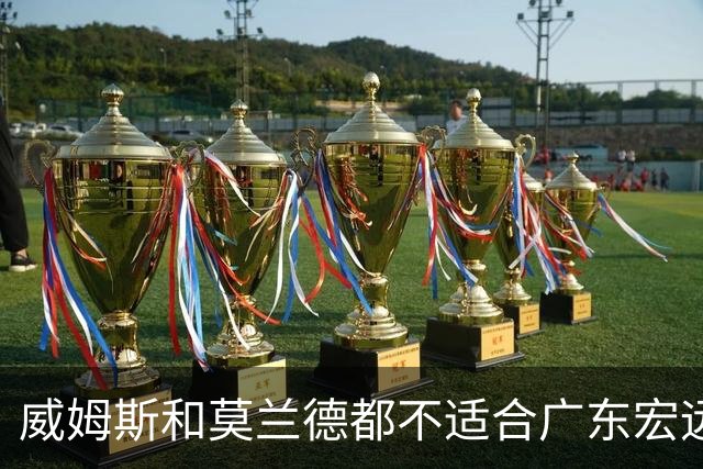 威姆斯和莫兰德都不适合广东宏远，更换外援是最快解决问题的方法